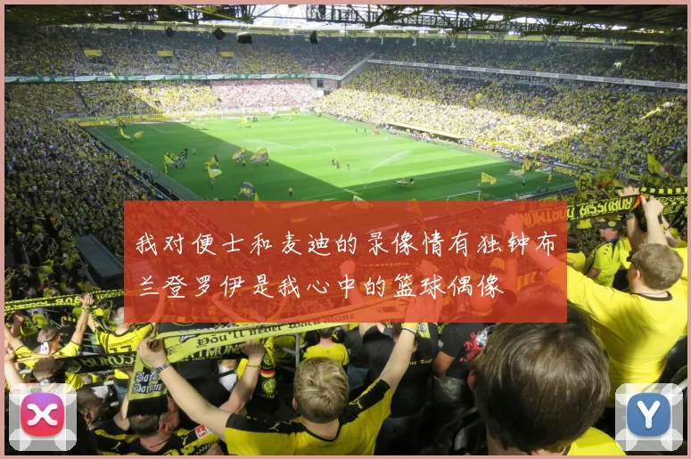 我对便士和麦迪的录像情有独钟布兰登罗伊是我心中的篮球偶像